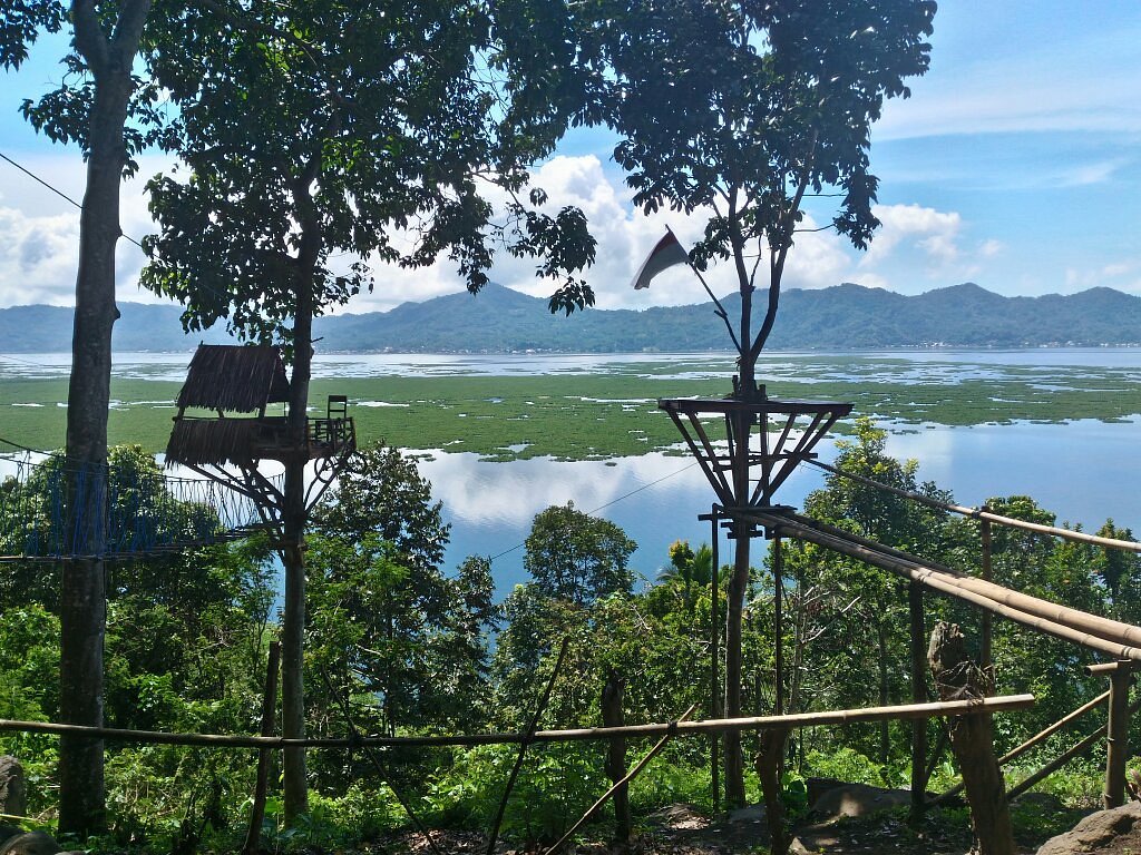 Tree House Urongo